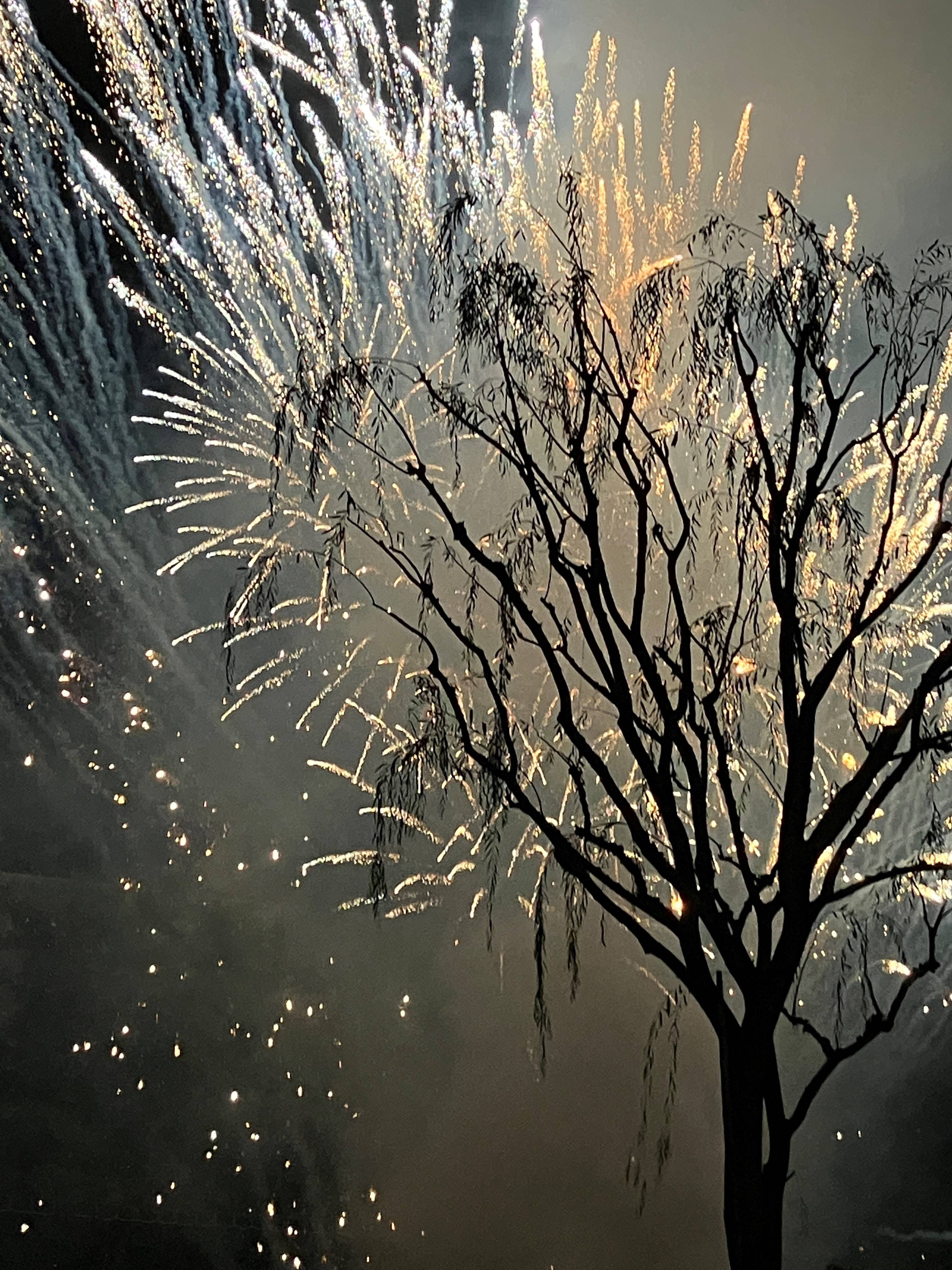 🎇３年ぶり【千秋花火】通常開催🎆 AKBT 土崎港店のブログ 写真7