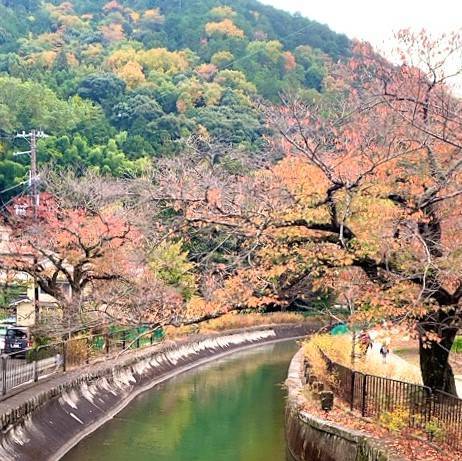 山粧う 塚本住建のブログ 写真5