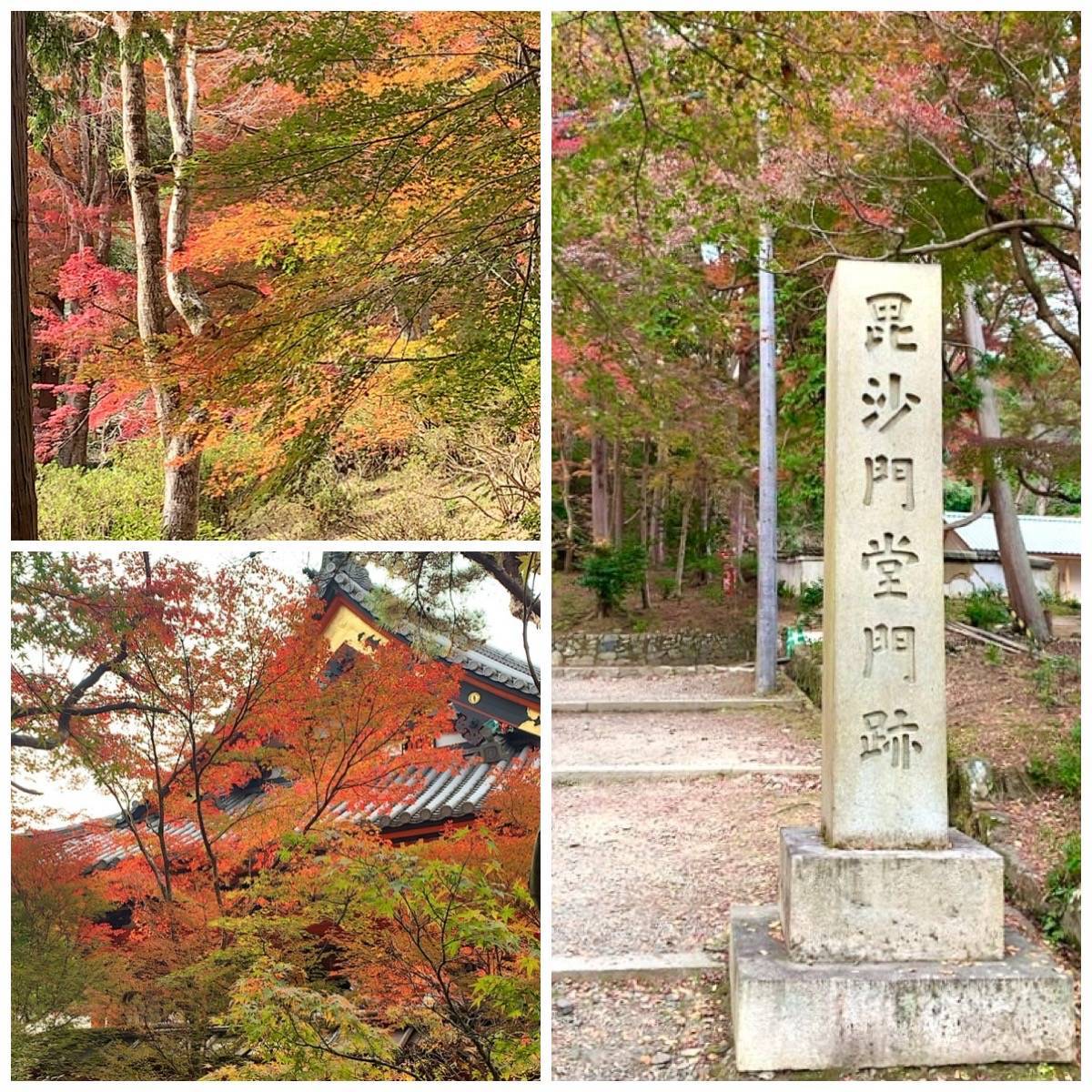 山粧う 塚本住建のブログ 写真1