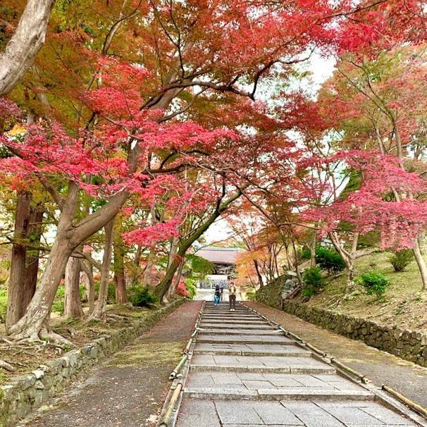 山粧う 塚本住建のブログ 写真2