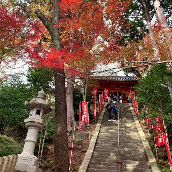 山粧う 塚本住建のブログ 写真4