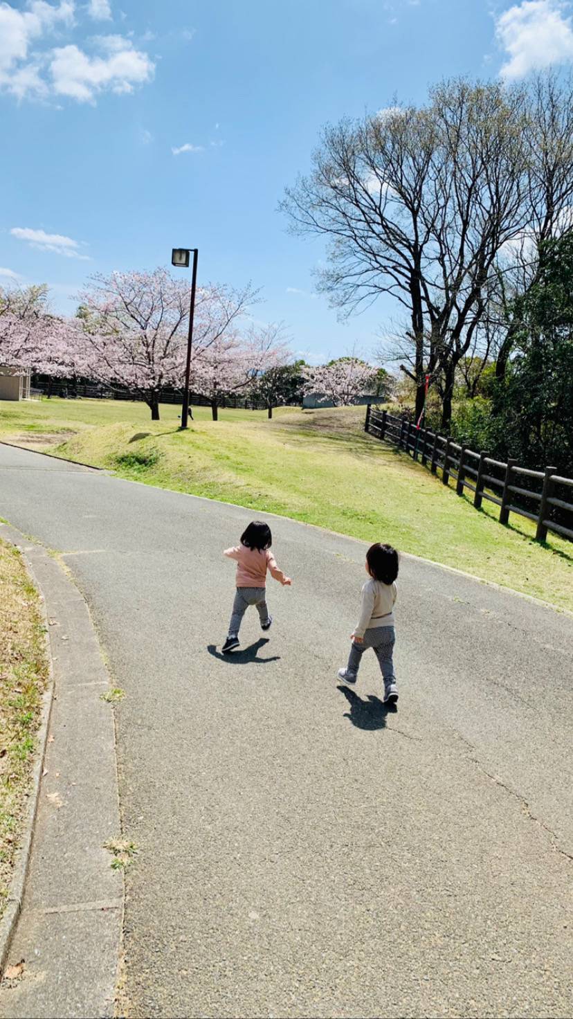 花見 新屋のブログ 写真1