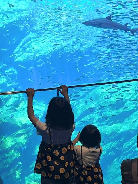 仙台うみの杜水族館🐠に行って来ました～☆彡 大角屋トーヨー住器のブログ 写真2