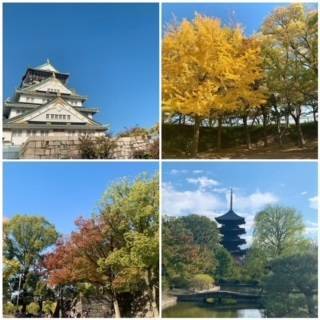 秋の楽しみ 塚本住建のブログ 写真2