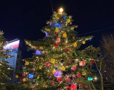 もうすぐクリスマスですね✨ コーホクトーヨー住器のブログ 写真1