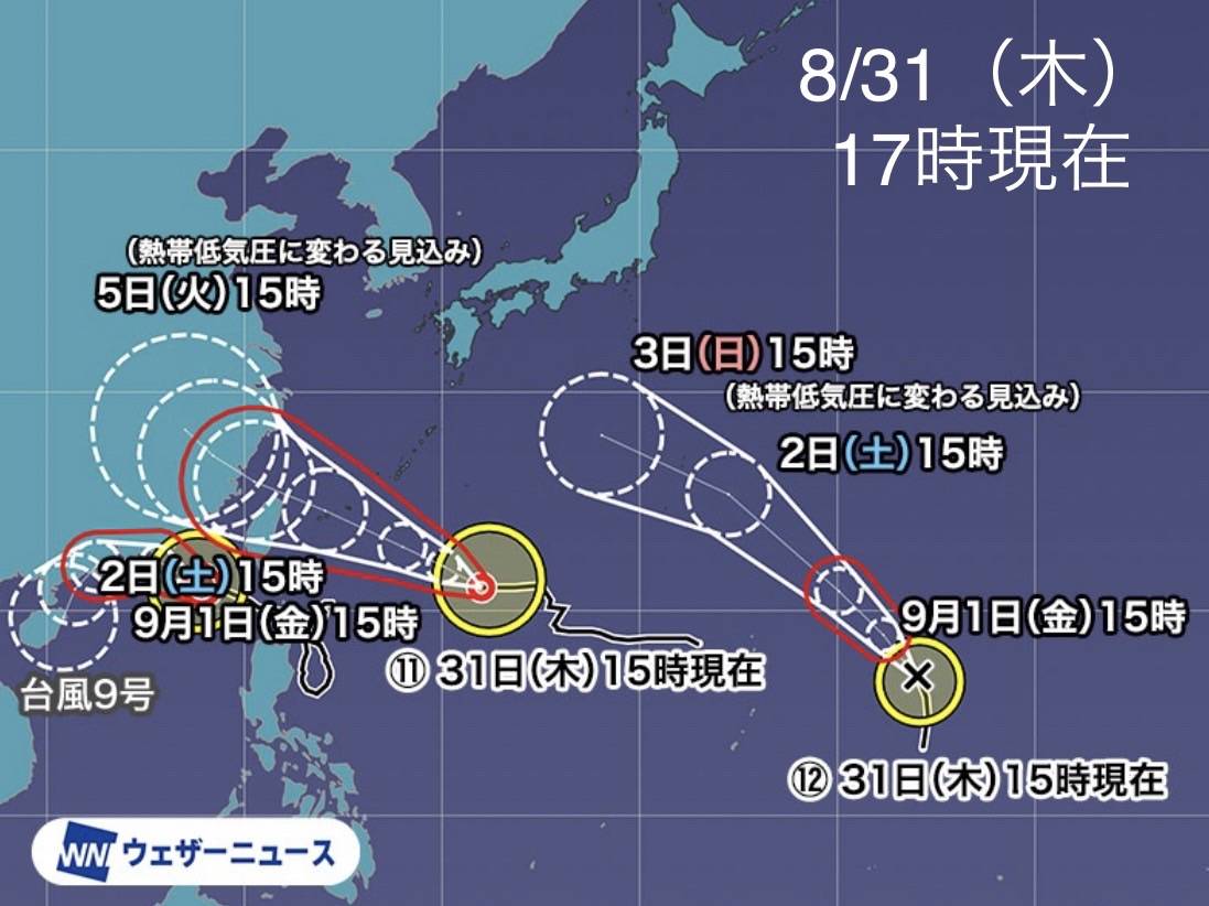 暑さも和らぎ？今日から9月❗️台風の季節ですね💦 三輪ガラスのブログ 写真1