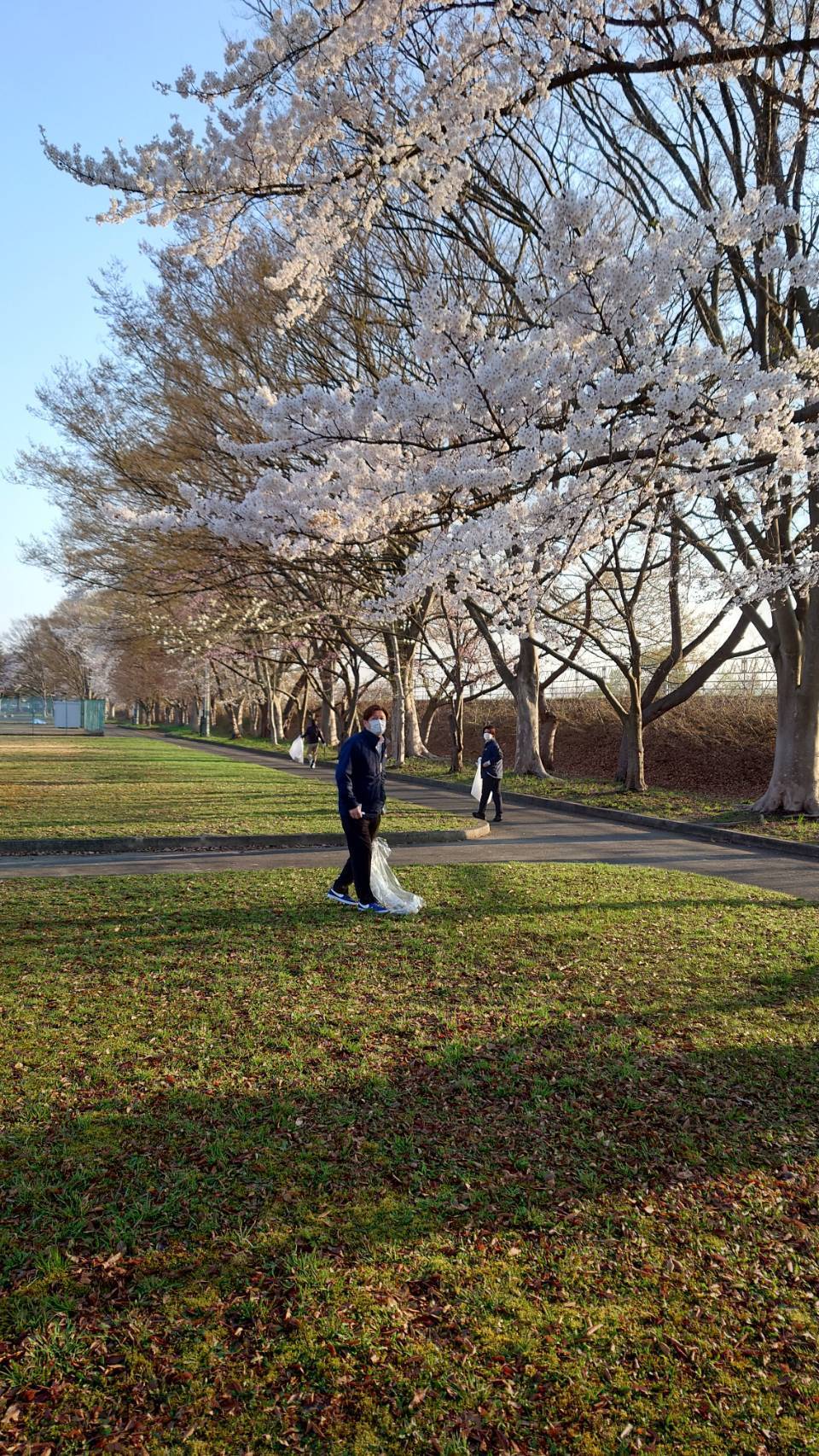 地域を綺麗に🌸 大木建装硝子のブログ 写真4