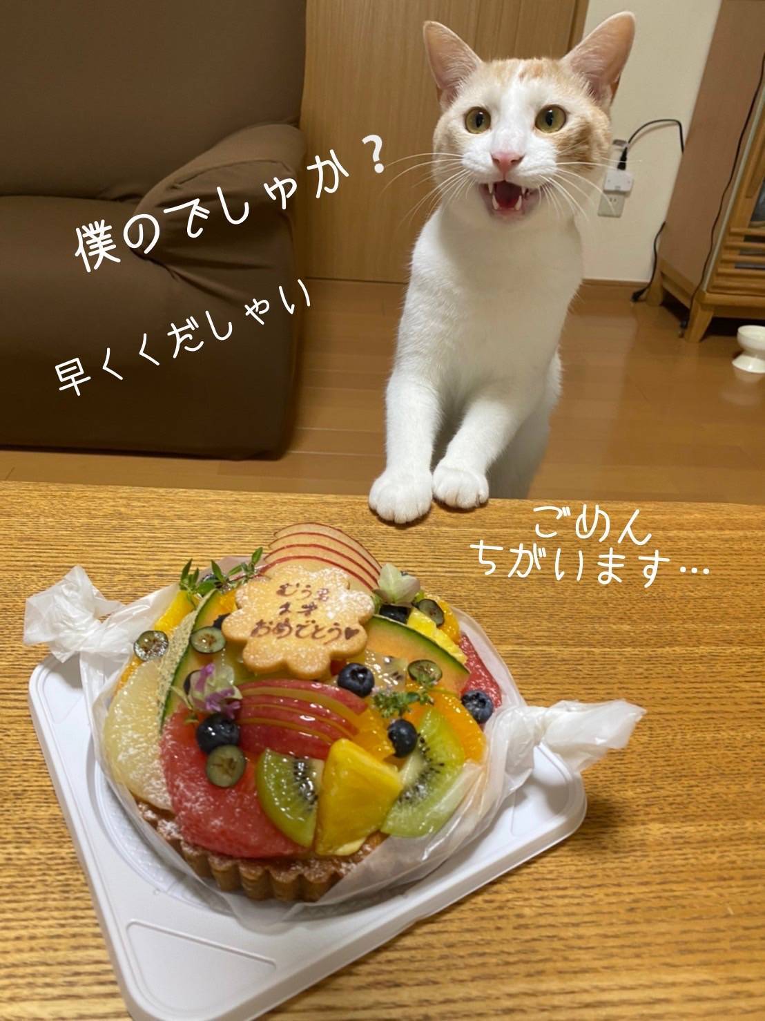 1歳おめでとう🍰 千葉トーヨー住器のブログ 写真1