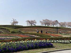 奈良県営馬見丘陵公園 塚本住建のブログ 写真1