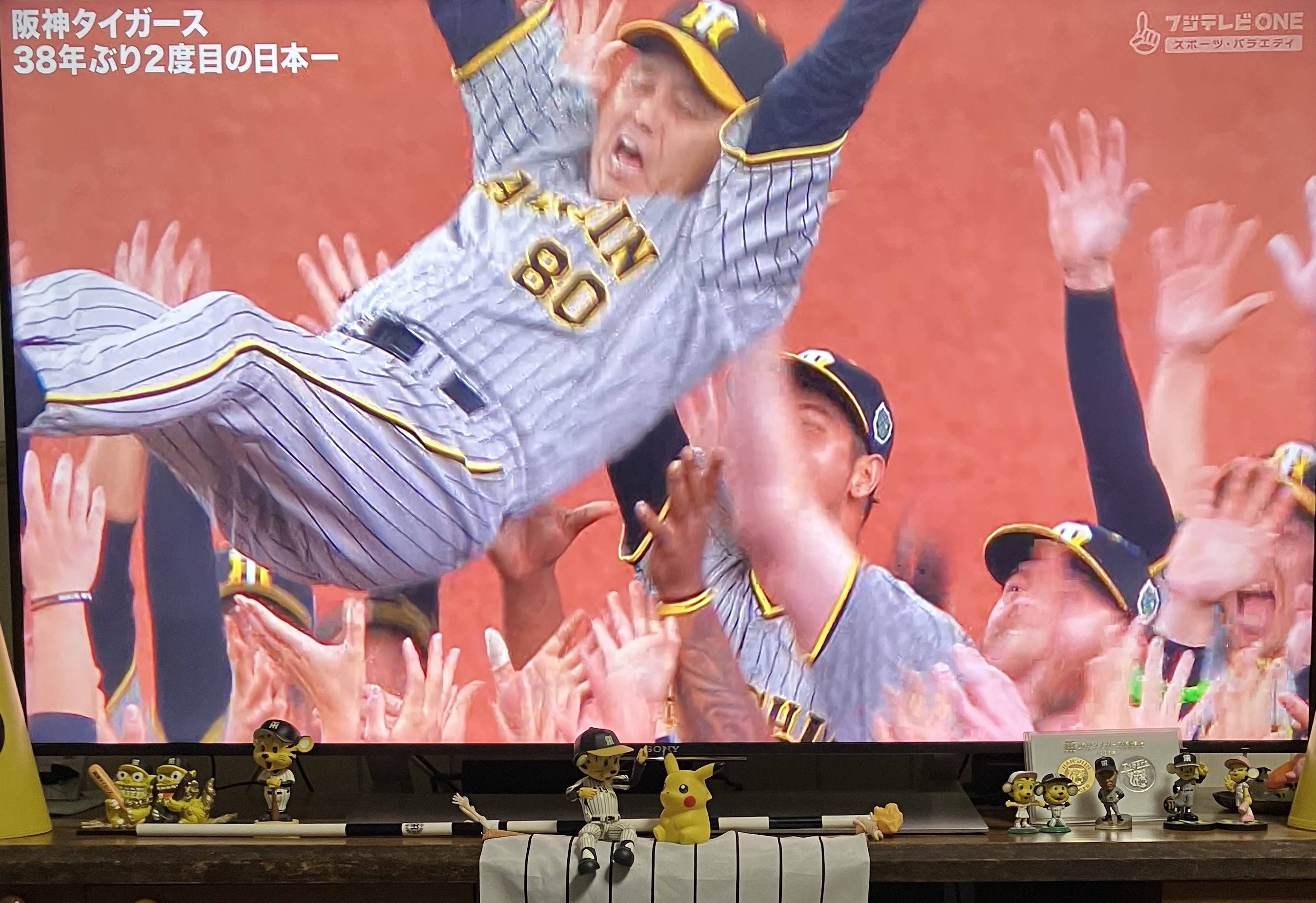 ⚾プロ野球⚾日本シリーズ🐯 AKBT 土崎港店のブログ 写真3