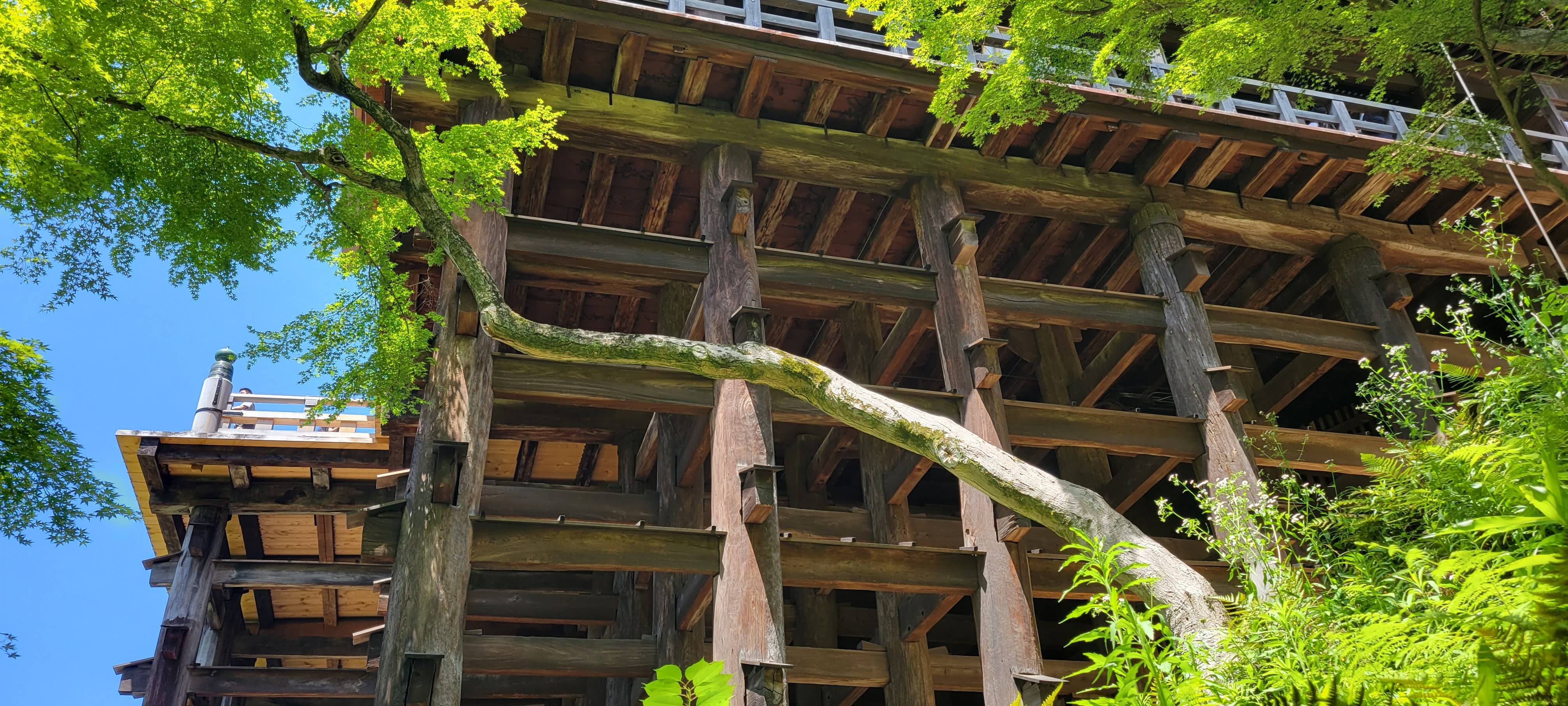 建築物 コーホクトーヨー住器のブログ 写真2