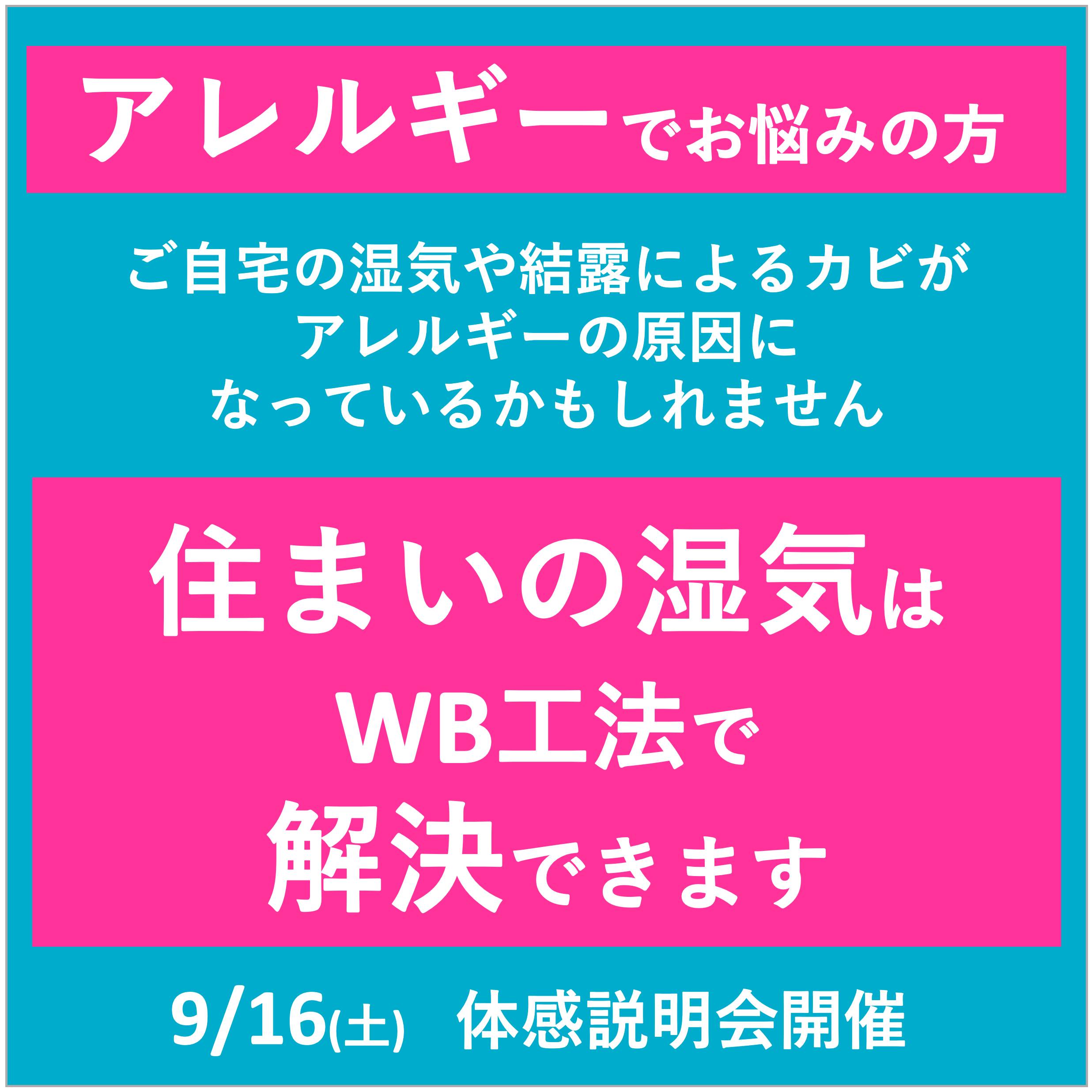 WB工法で造る「深呼吸したくなる家」の説明会＆体感会のご案内① ハオス本店のイベントキャンペーン 写真1