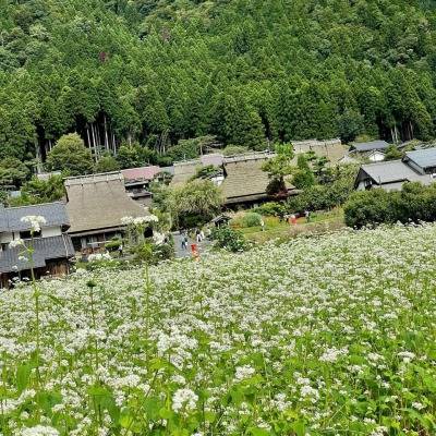 美山町かやぶきの里 塚本住建のブログ 写真2
