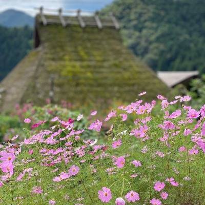 美山町かやぶきの里 塚本住建のブログ 写真3