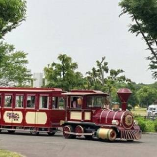 万博記念公園 塚本住建のブログ 写真3