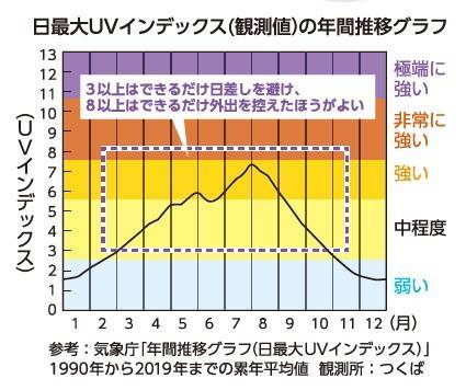 室内でもやっておきたい紫外線対策 みもとトーヨー住器のブログ 写真2