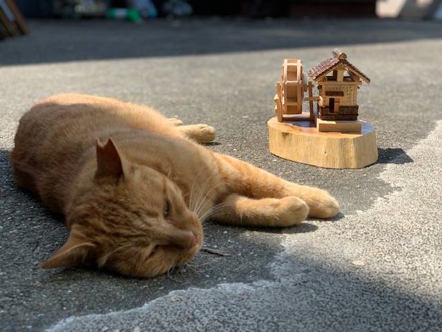 7月21日(金) 花光リフォームのブログ 写真3