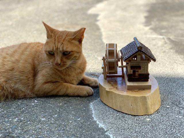 7月21日(金) 花光リフォームのブログ 写真1