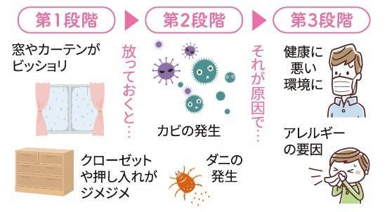 カビやダニの原因　実は「結露」が問題かも？ ネットアスのブログ 写真2