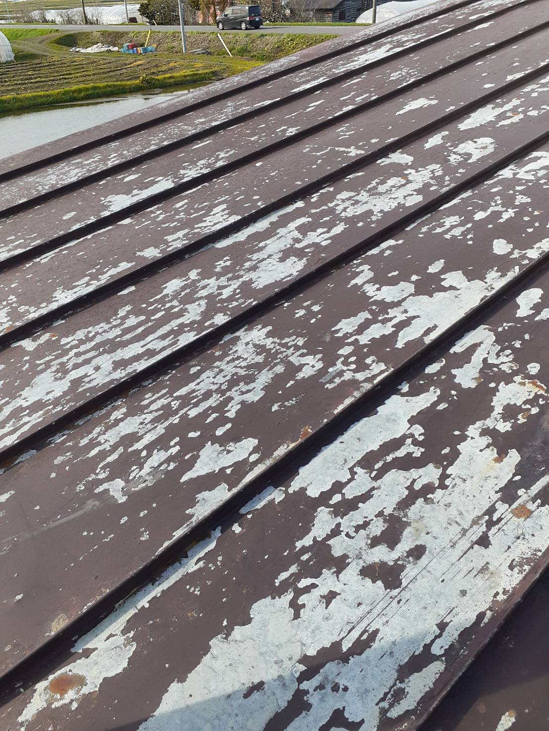 屋根塗装　雨漏り補修 ダルパのブログ 写真1