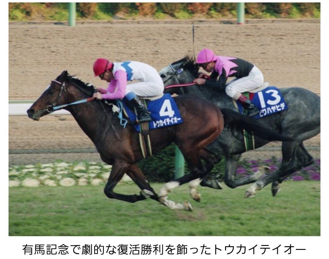 思い出の有馬記念 FGネクストのブログ 写真1