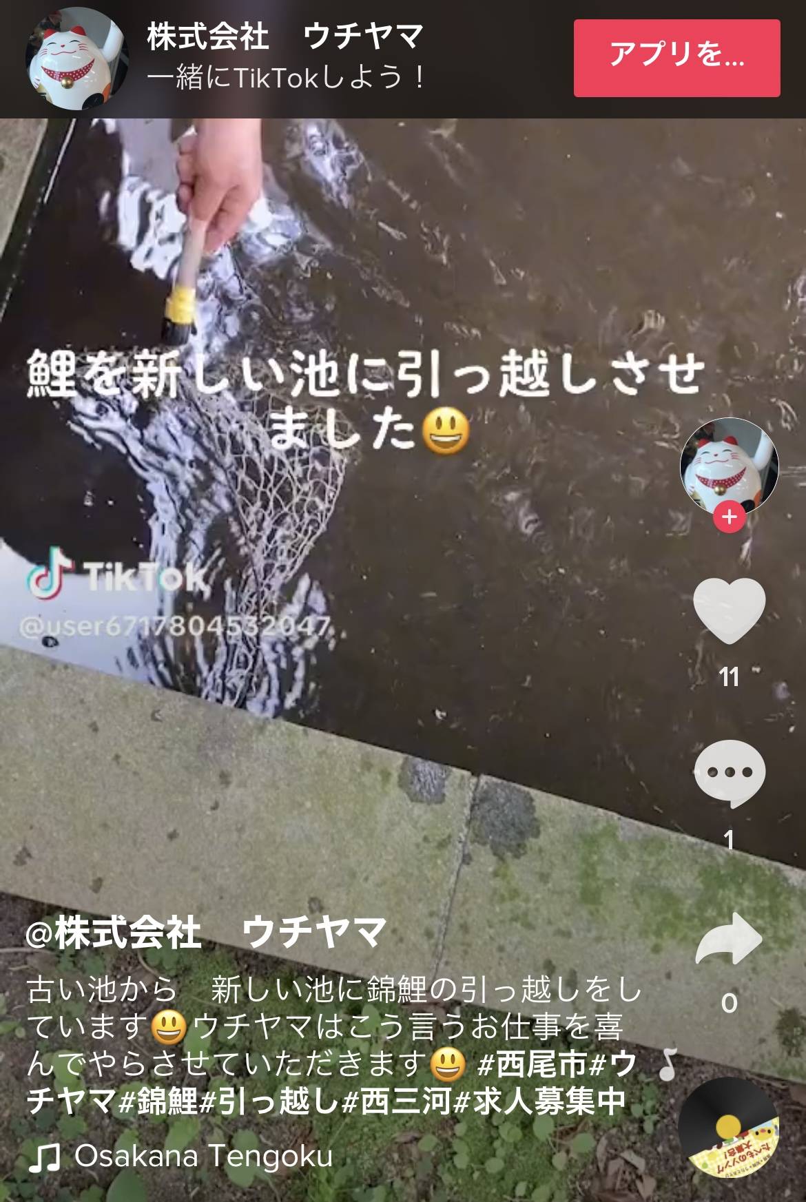 鯉の捕獲 ウチヤマのブログ 写真4