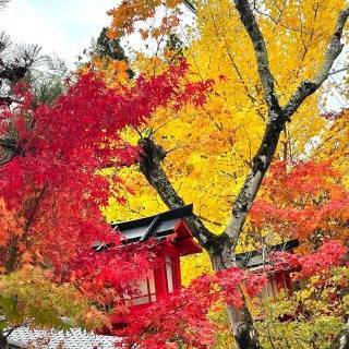 紅葉狩り 塚本住建のブログ 写真3