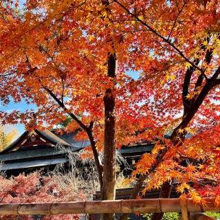 紅葉狩り 塚本住建のブログ 写真4