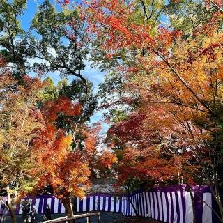 紅葉狩り 塚本住建のブログ 写真5