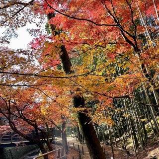 紅葉狩り 塚本住建のブログ 写真6