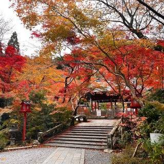 紅葉狩り 塚本住建のブログ 写真1