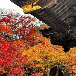 紅葉狩り 塚本住建のブログ 写真2