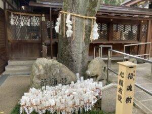 護王神社 塚本住建のブログ 写真4