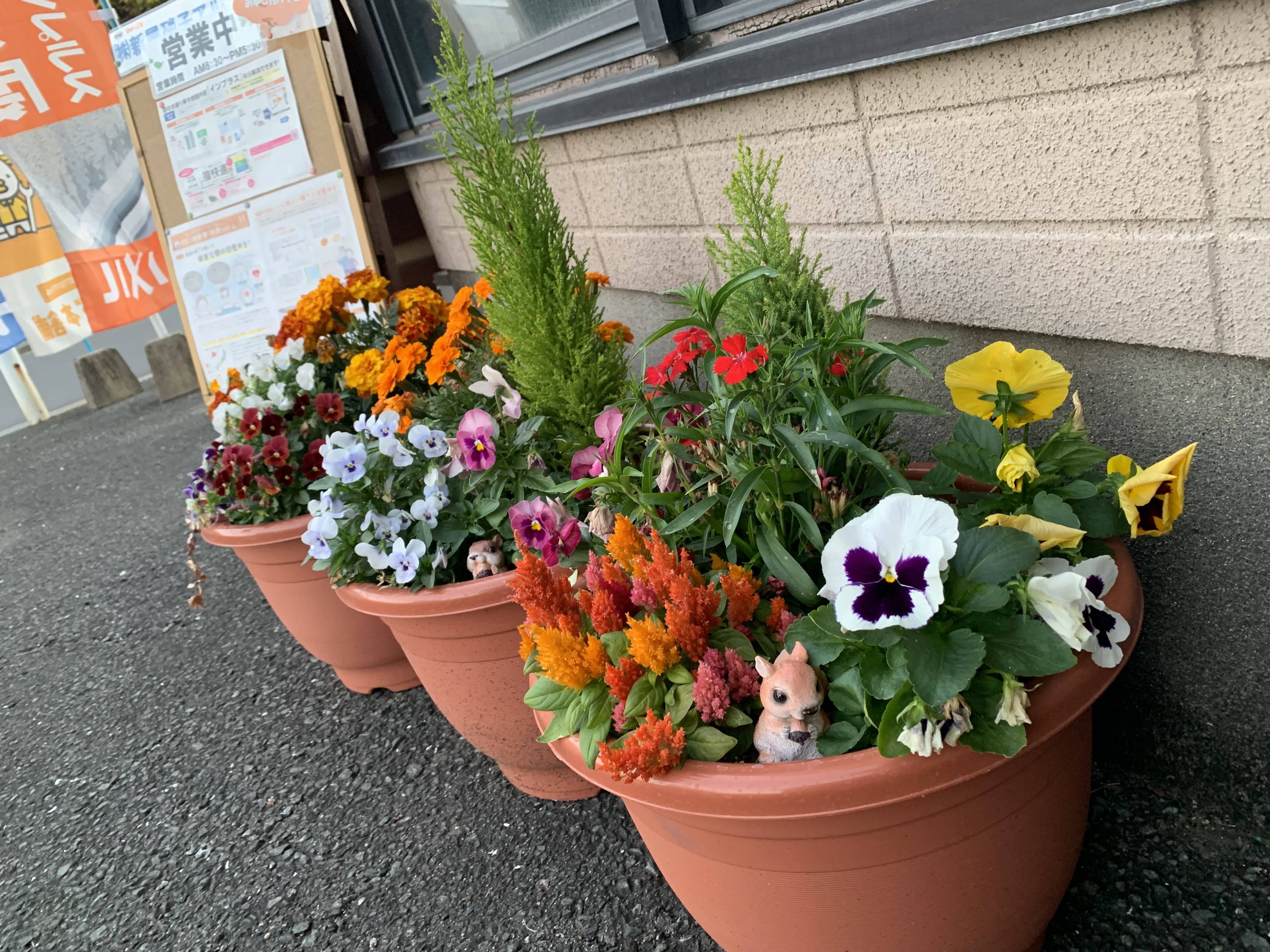 お花たち 新屋のブログ 写真1