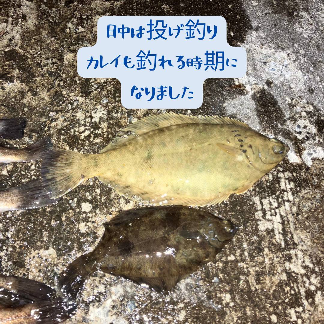 【店長趣味　釣りブログ】 AOBT 浪岡インター店のブログ 写真1