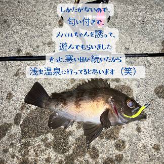 【店長趣味　釣りブログ】釣り部自主練習 AOBT 浪岡インター店のブログ 写真4