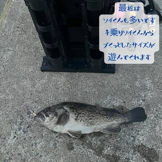 【店長趣味　釣りブログ】釣り部自主練習 AOBT 浪岡インター店のブログ 写真1