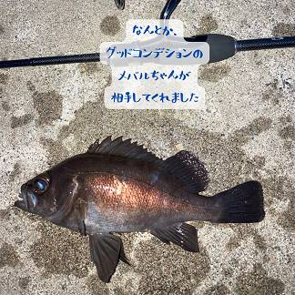 【店長趣味　釣りブログ】釣り部自主練習 AOBT 浪岡インター店のブログ 写真3