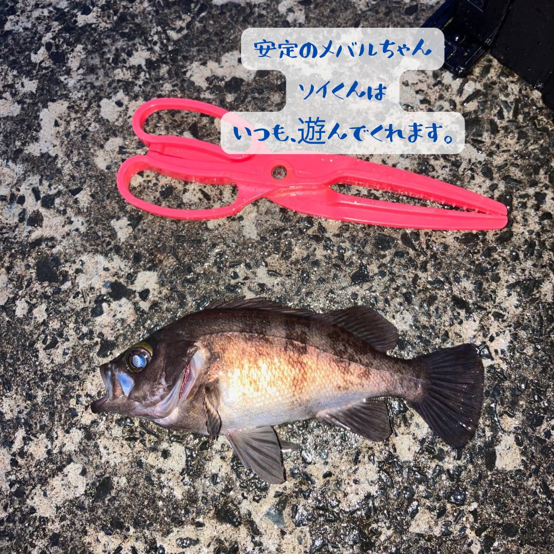 【店長趣味　釣りブログ】 AOBT 浪岡インター店のブログ 写真2