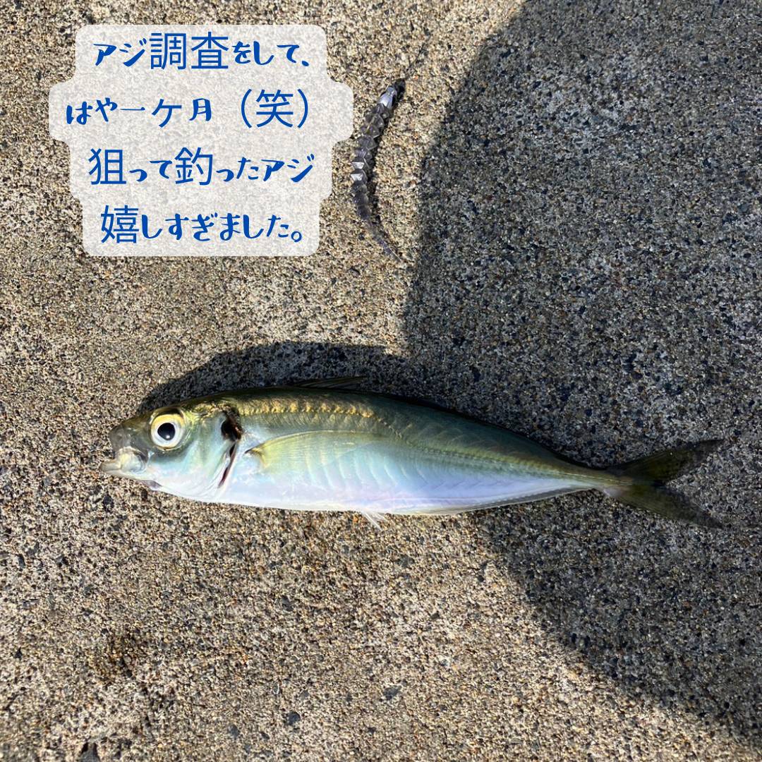 【店長趣味　釣りブログ】 AOBT 浪岡インター店のブログ 写真1