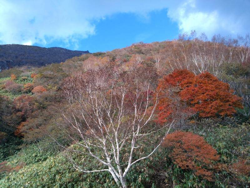 紅葉(微妙) カワサキトーヨー住器 那須那珂川のブログ 写真2