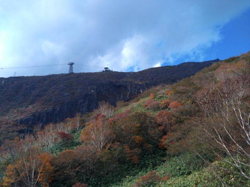 紅葉(微妙) カワサキトーヨー住器 那須那珂川のブログ 写真1