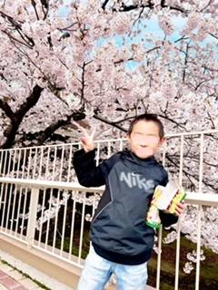 “さくら庭”の桜　🌸満開🌸　能代市 大渕トーヨー住器のブログ 写真1
