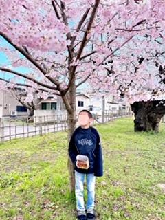 “さくら庭”の桜　🌸満開🌸　能代市 大渕トーヨー住器のブログ 写真2