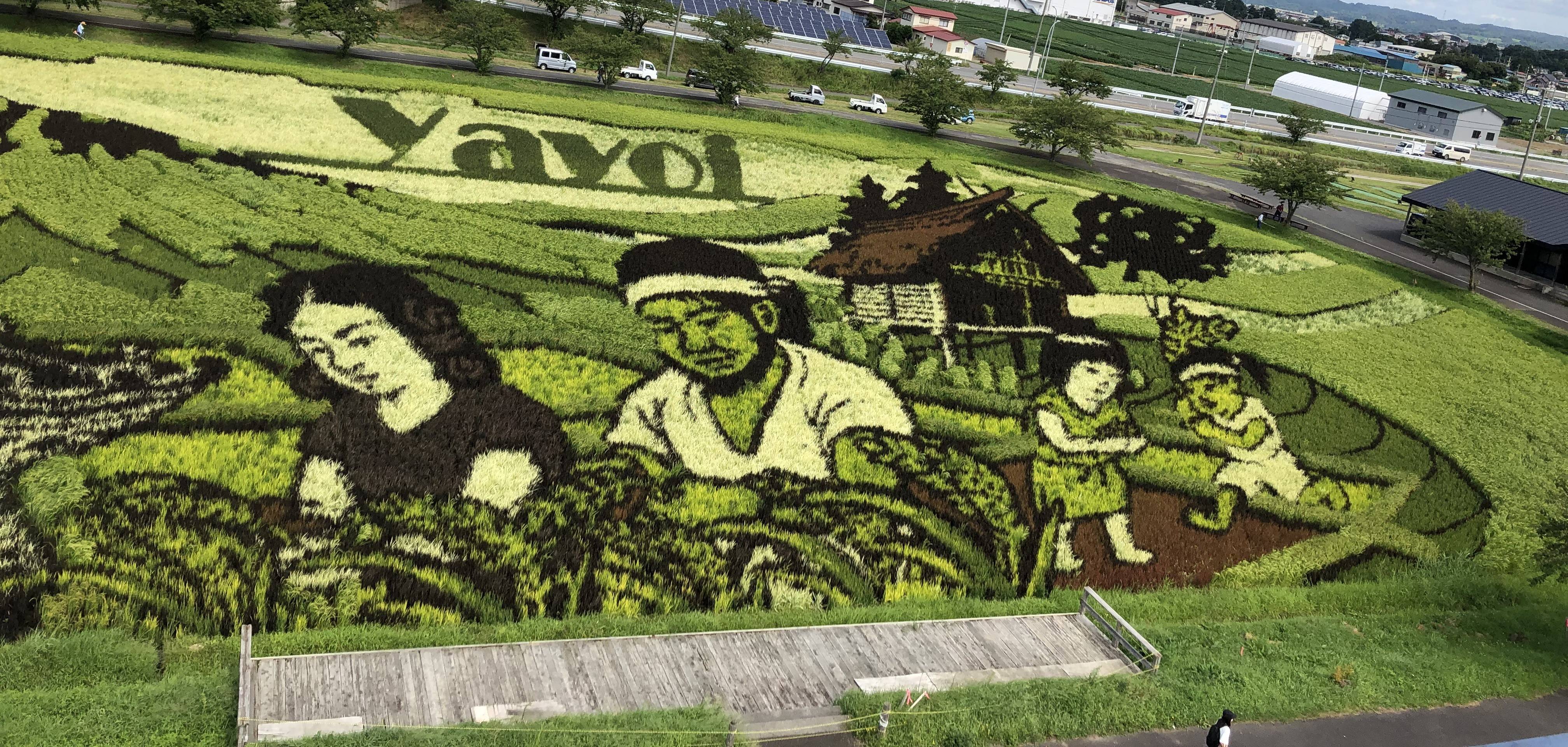 田舎館村🌾田んぼアート２ 鎌田トーヨー住器のブログ 写真2