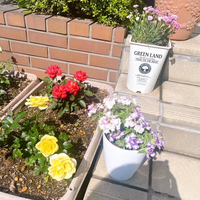 家庭菜園🍅順調です FBT新白河店のブログ 写真3