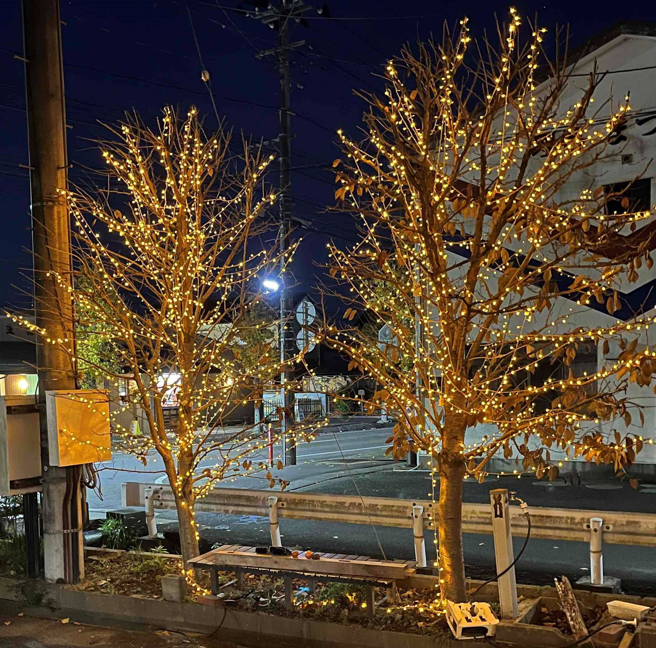 ♪イルミネーション☆彡 おさだガラスのブログ 写真2