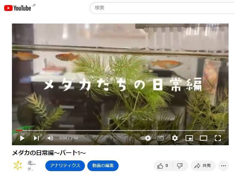 YouTube動画をアップしました。 トータスエステートのブログ 写真1