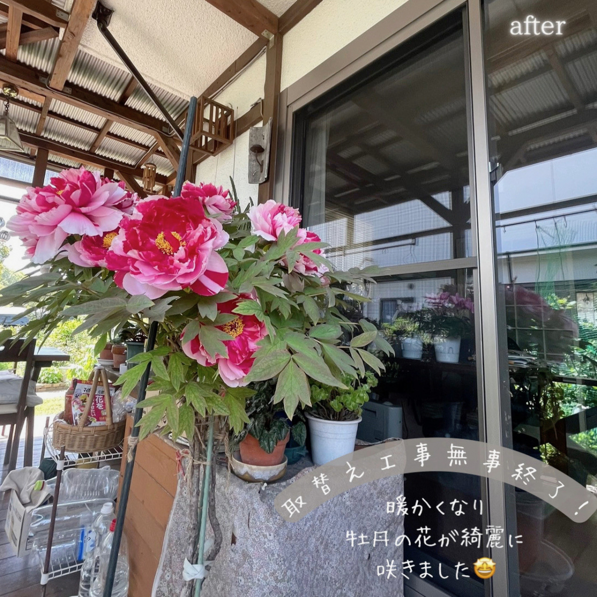サン建材トーヨー住器の【福山市】動かしやすい閉めやすい【防犯対策】安心できる 窓“リプラス”しませんか?✨の施工後の写真2