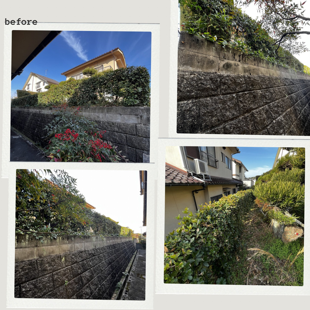 サン建材トーヨー住器の🌴🌲生垣の手入れが重荷になっていませんか？もう庭木の手入れで無理はしない😊👌の施工前の写真1